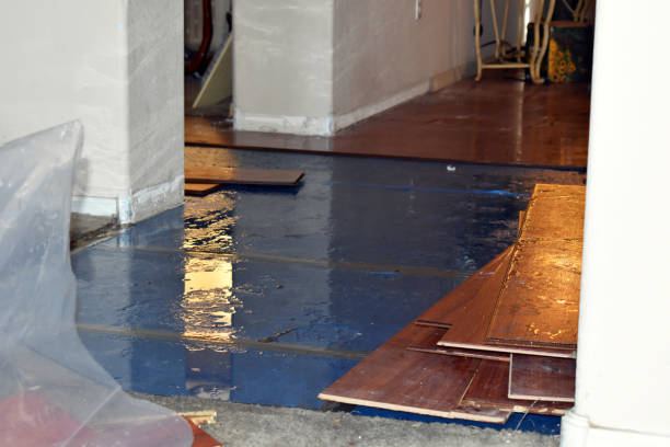 Professional Flood Damage Repair technician working in Troy, ME